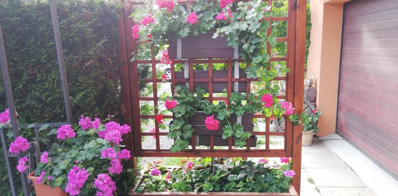 Apartmány u Jiroušů Rokytnice nad Jizerou Exterior foto